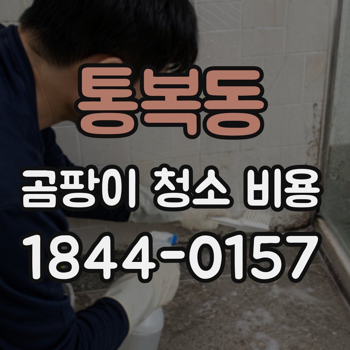 통복동 곰팡이 청소 비용