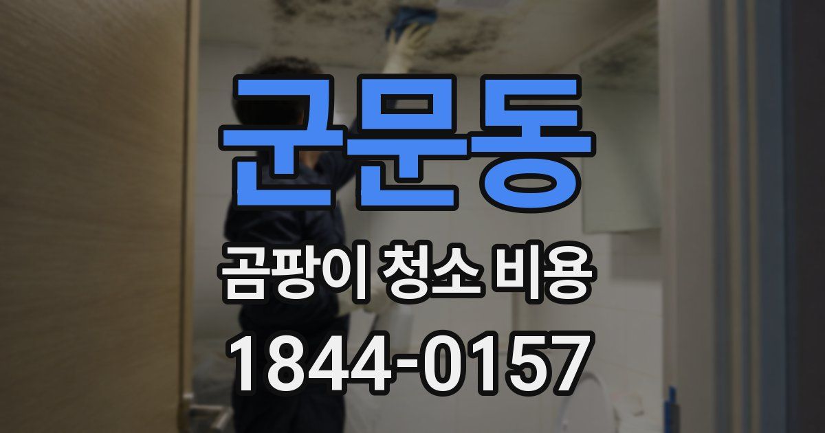 군문동 곰팡이 청소 비용