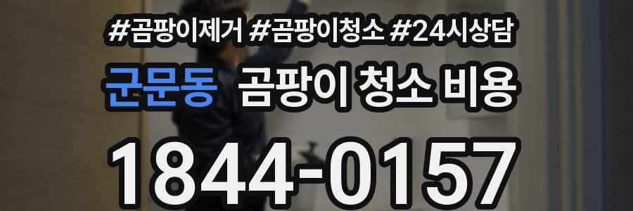 군문동 곰팡이 청소 비용