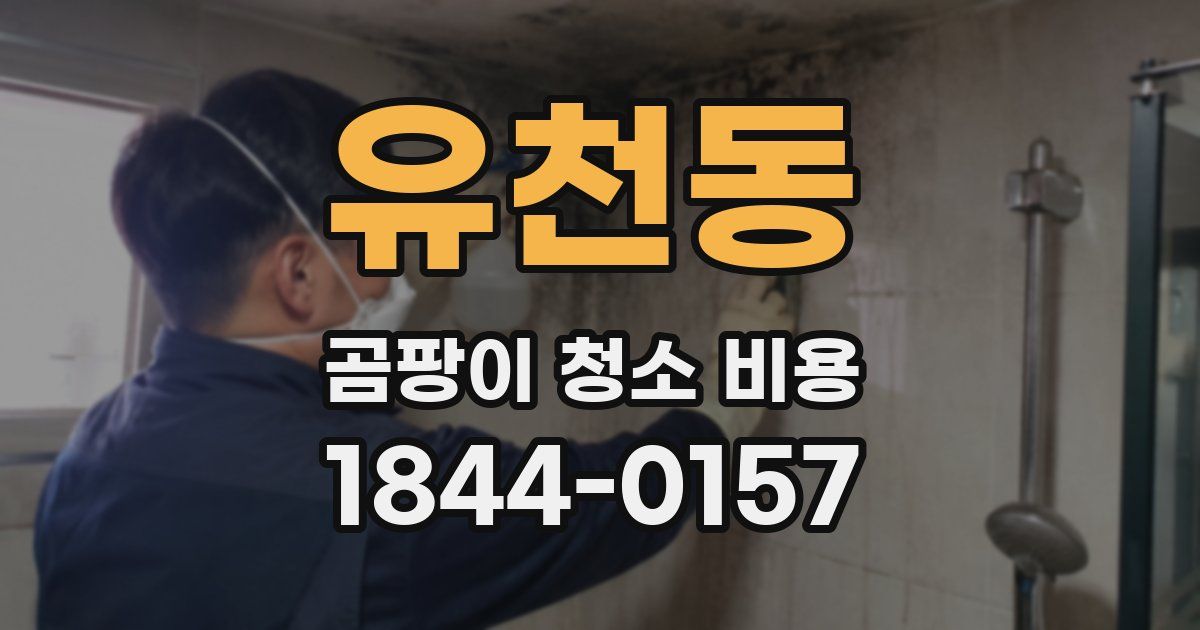 유천동 곰팡이 청소 비용