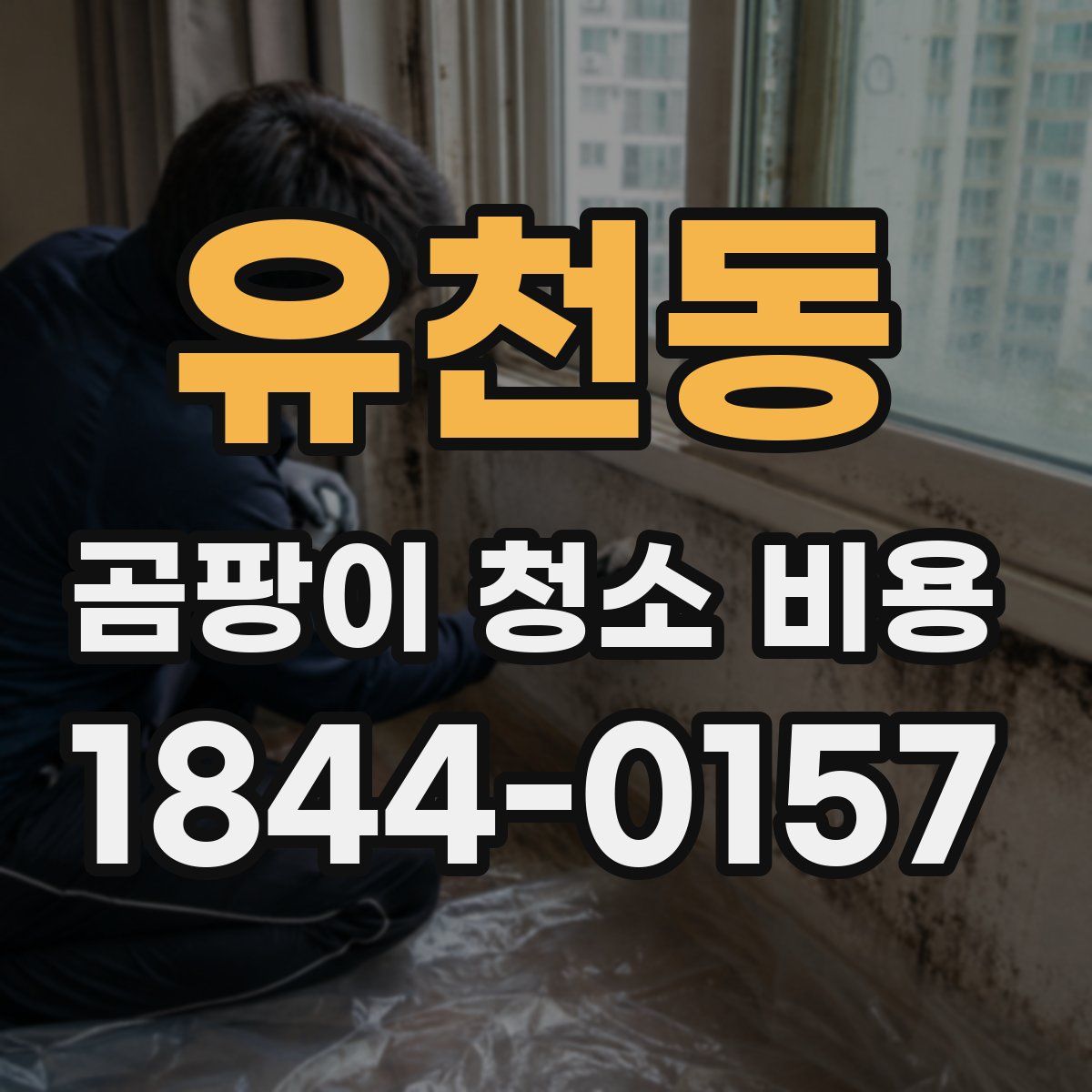유천동 곰팡이 청소 비용
