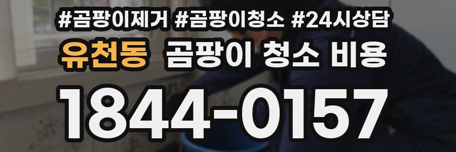 유천동 곰팡이 청소 비용
