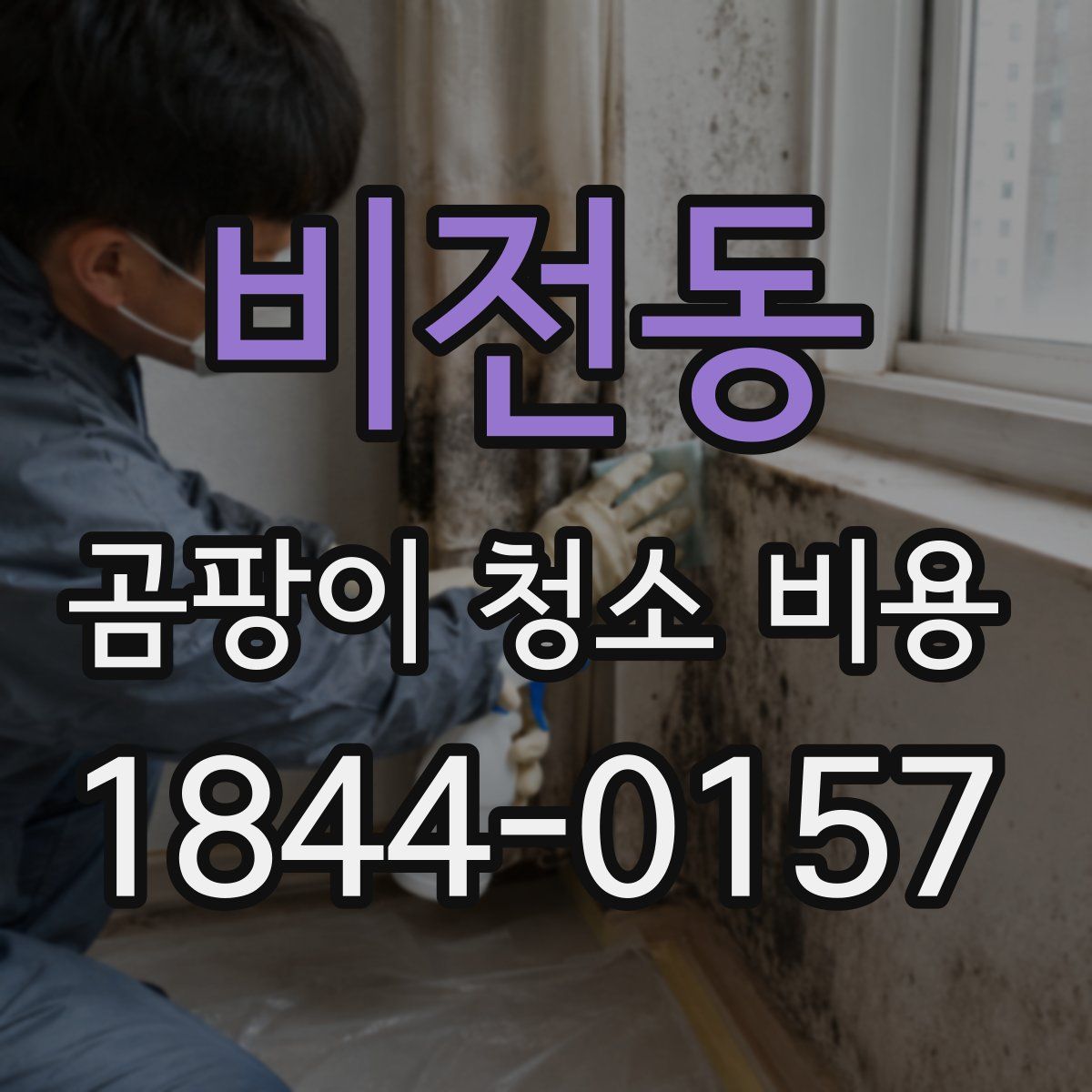 비전동 곰팡이 청소 비용