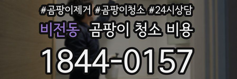 비전동 곰팡이 청소 비용