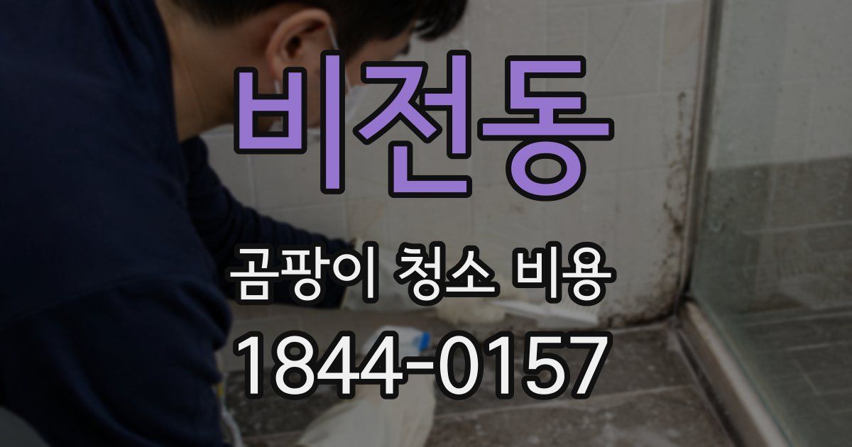 비전동 곰팡이 청소 비용