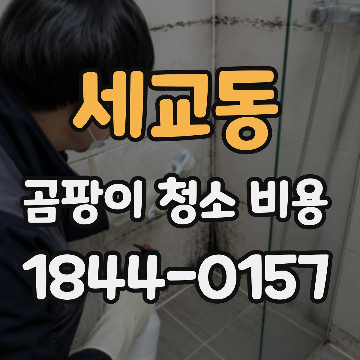 세교동 곰팡이 청소 비용