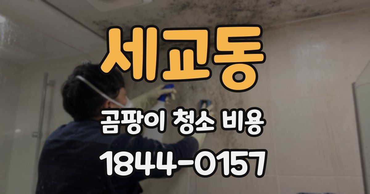 세교동 곰팡이 청소 비용