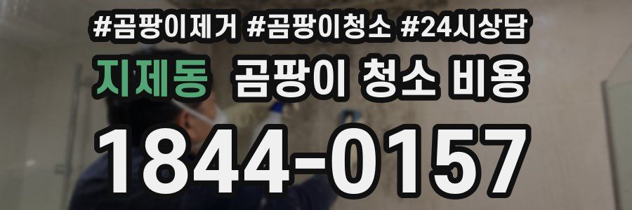 지제동 곰팡이 청소 비용