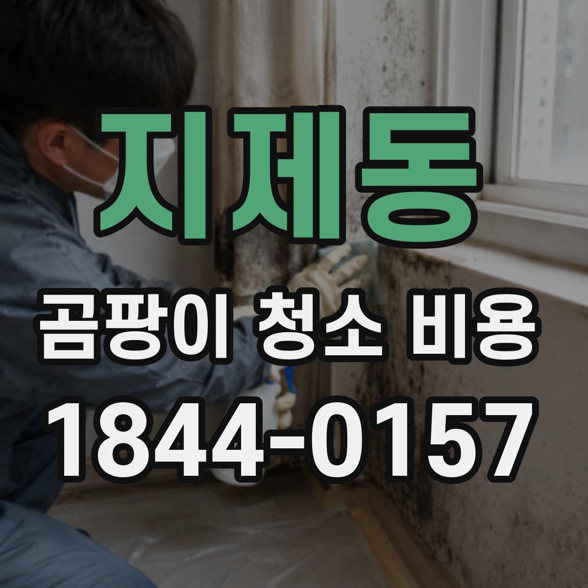지제동 곰팡이 청소 비용