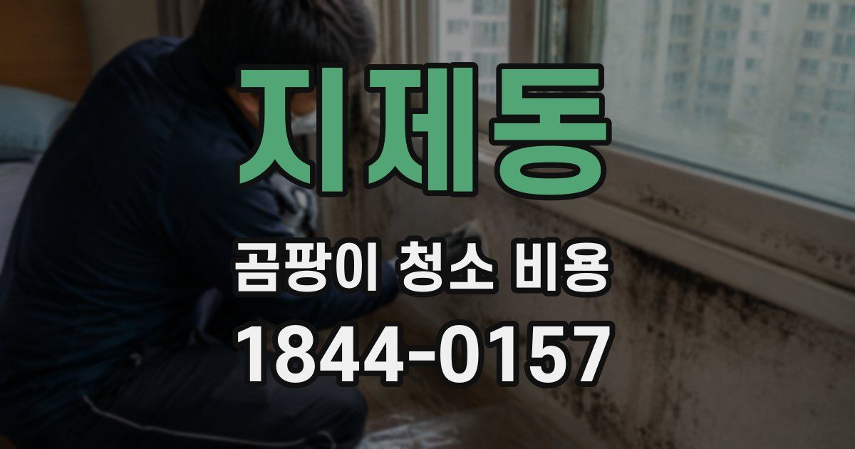 지제동 곰팡이 청소 비용
