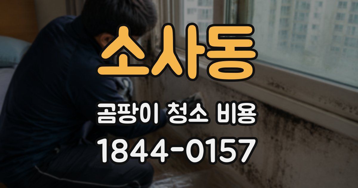 소사동 곰팡이 청소 비용