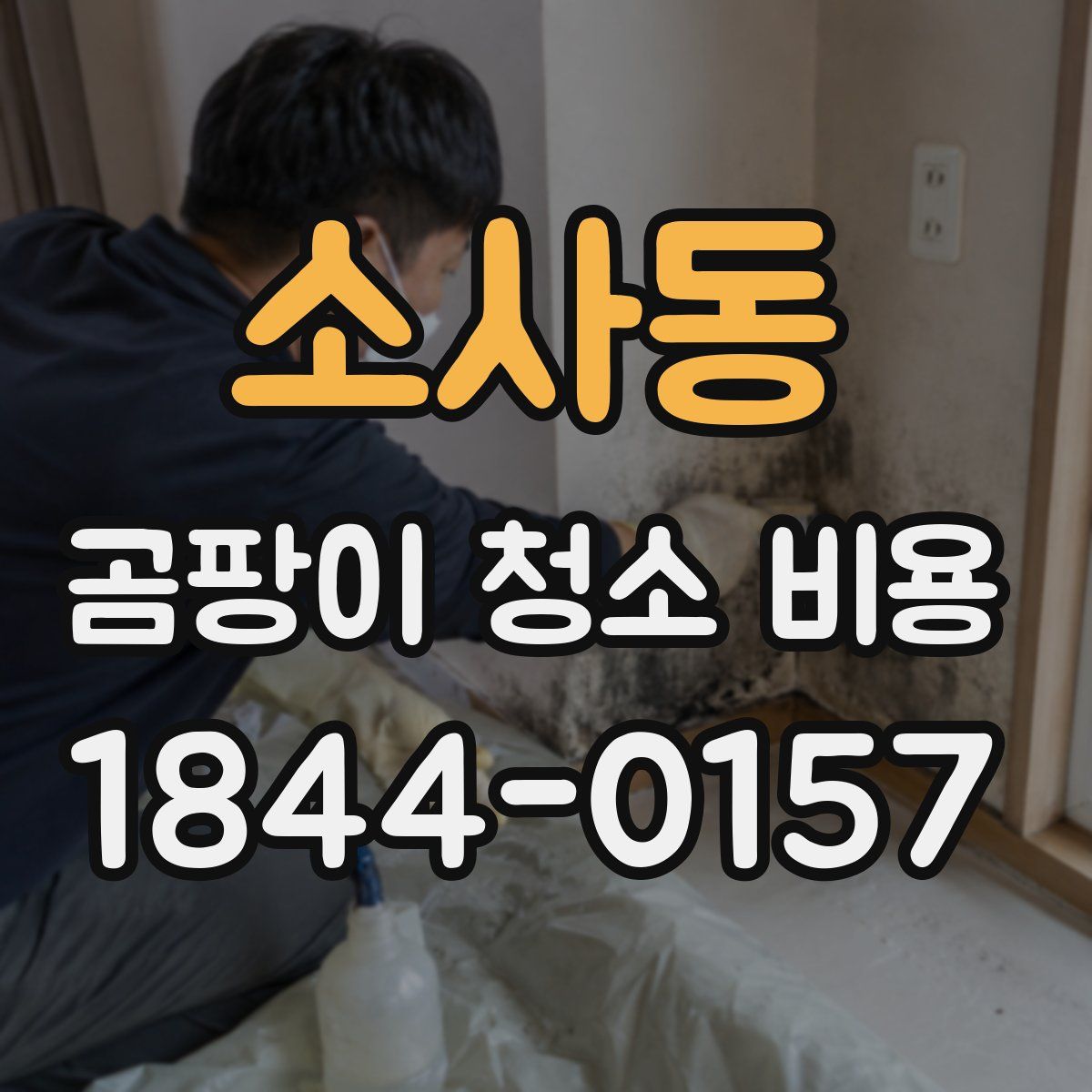 소사동 곰팡이 청소 비용
