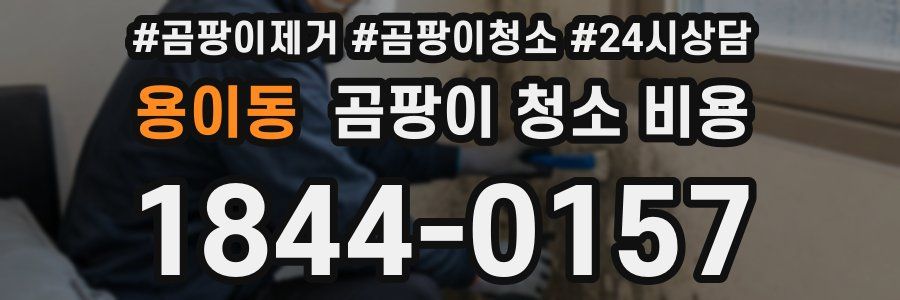 용이동 곰팡이 청소 비용