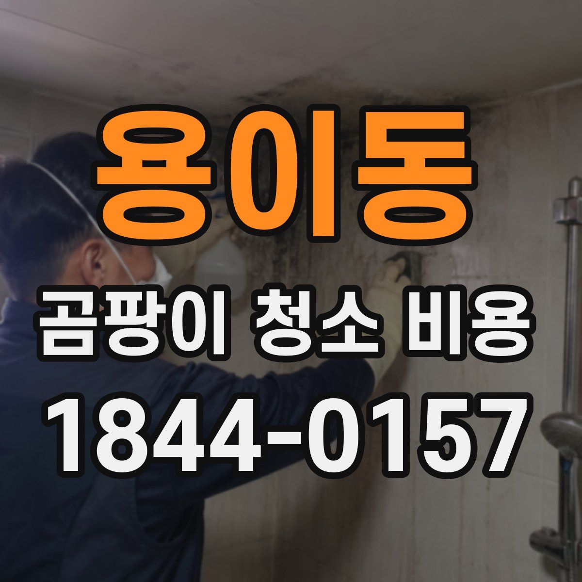 용이동 곰팡이 청소 비용