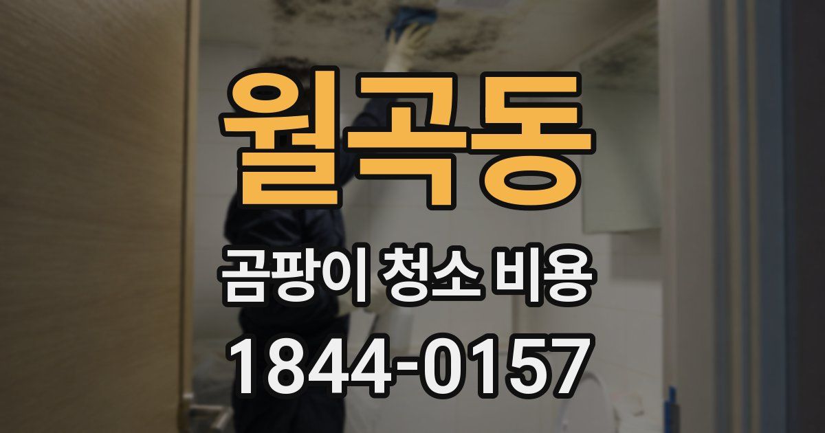 월곡동 곰팡이 청소 비용