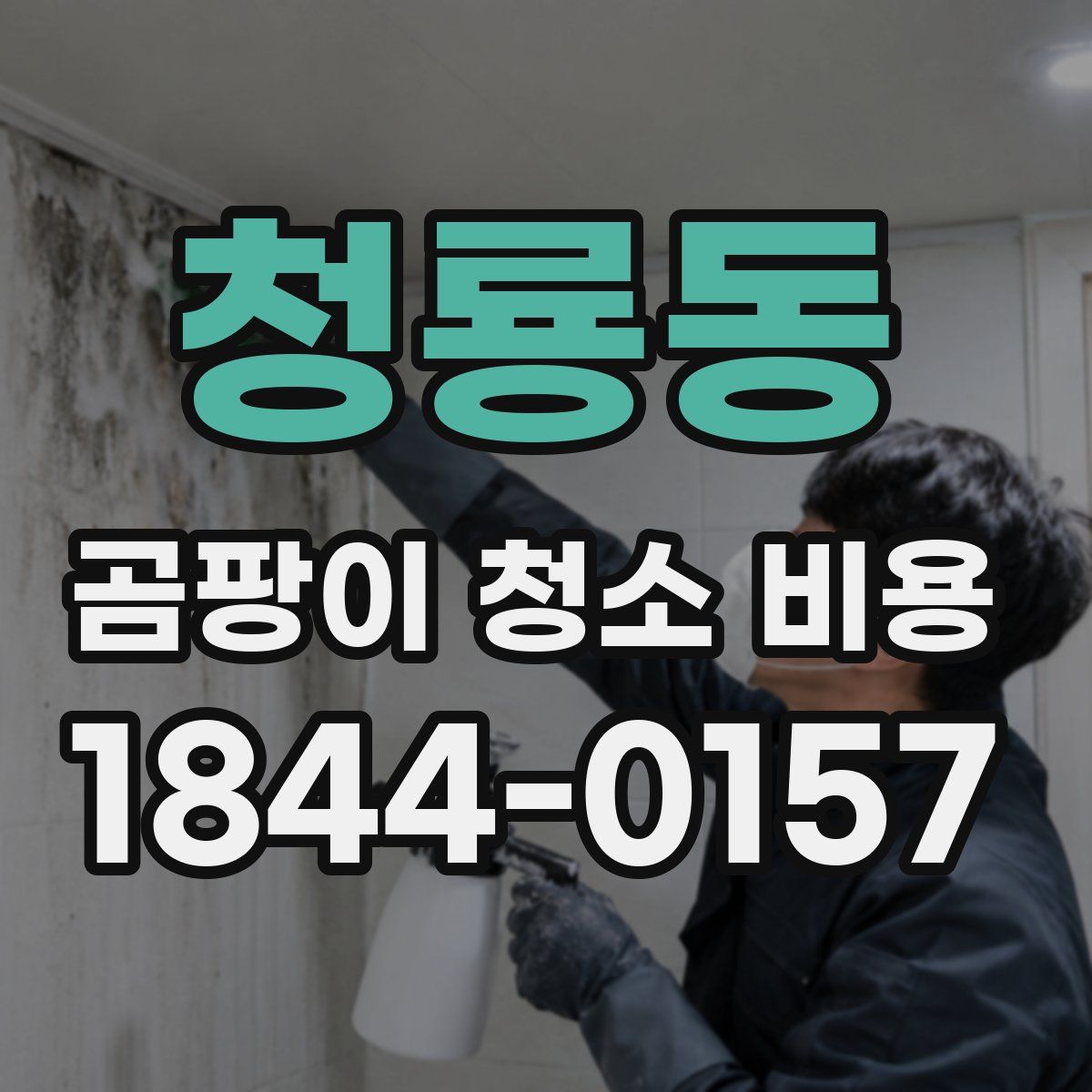청룡동 곰팡이 청소 비용
