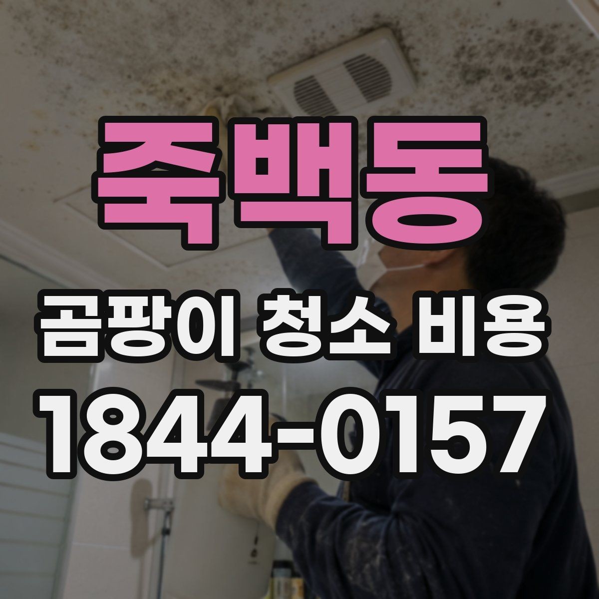 죽백동 곰팡이 청소 비용 원룸과 오피스텔에서 자주 나오는 문의 정리