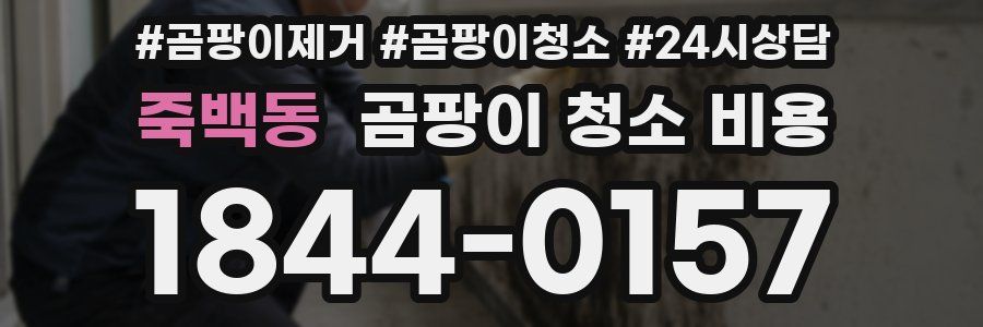 죽백동 곰팡이 청소 비용