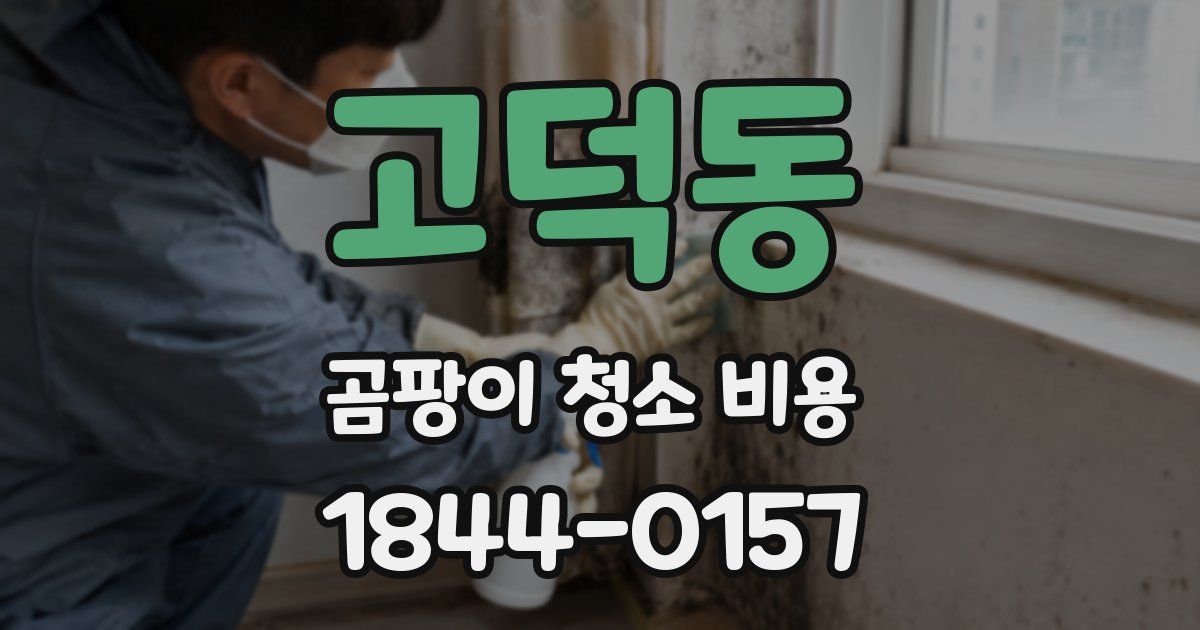 고덕동 곰팡이 청소 비용