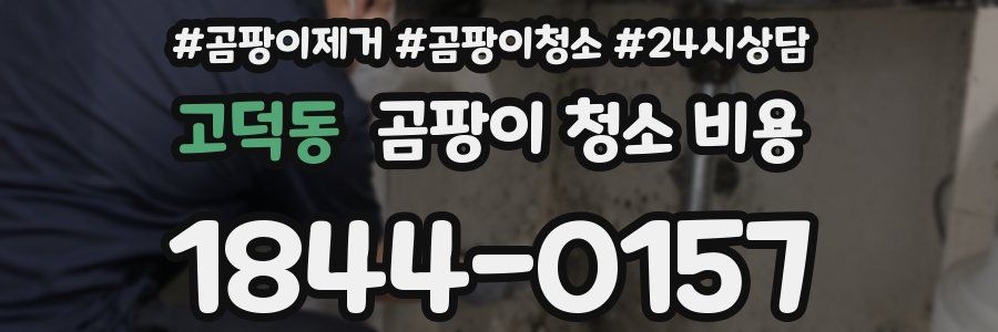 고덕동 곰팡이 청소 비용