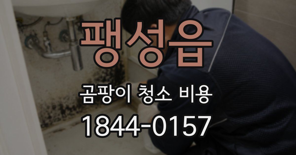 팽성읍 곰팡이 청소 비용