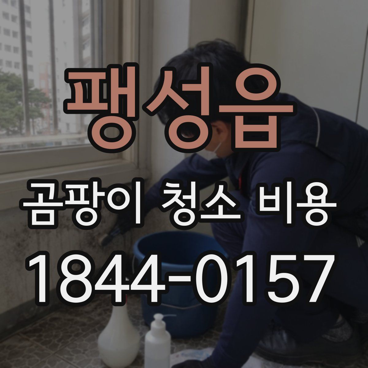팽성읍 곰팡이 청소 비용