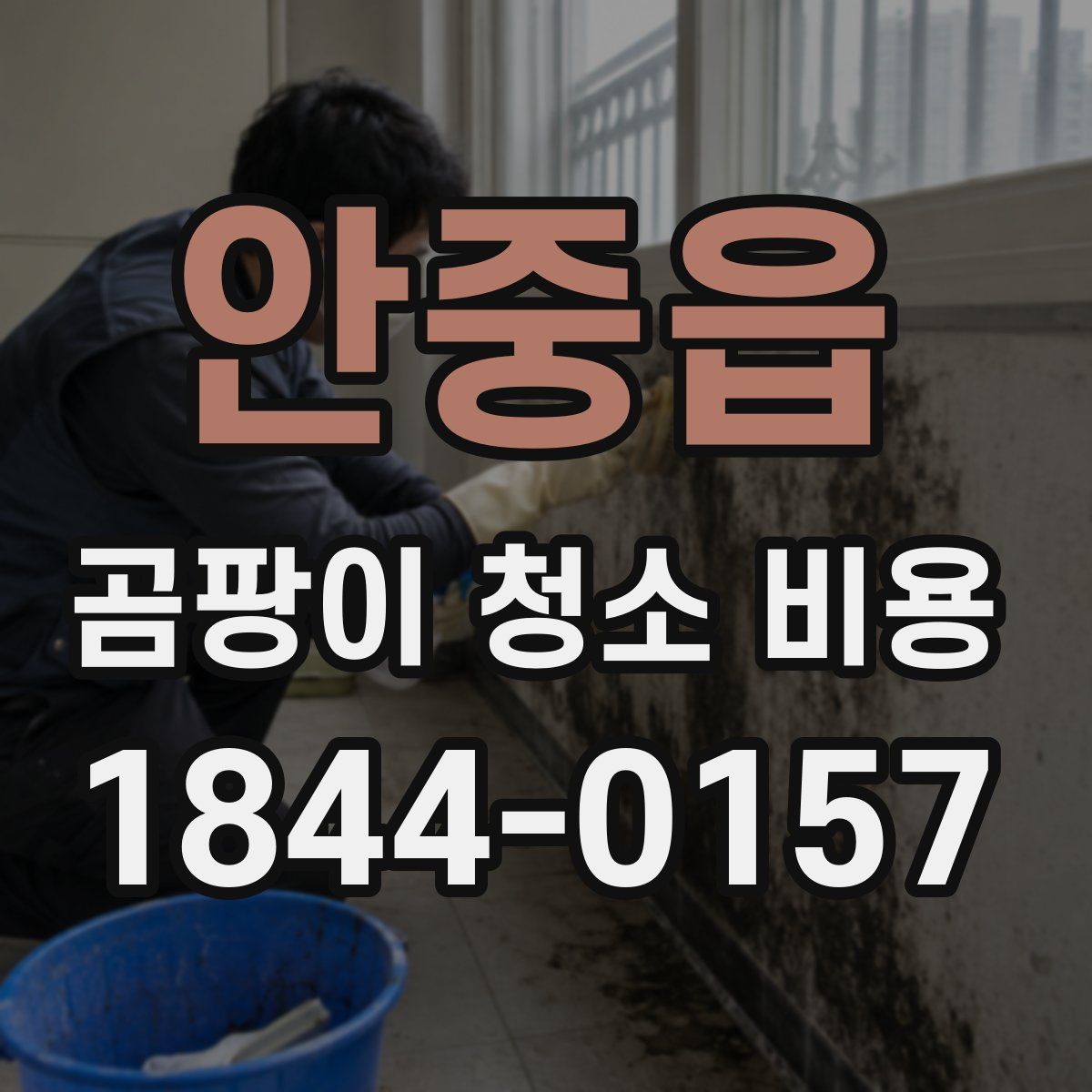 안중읍 곰팡이 청소 비용