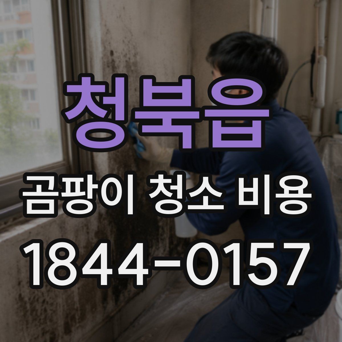 청북읍 곰팡이 청소 비용 세척 후 다시 번지는 사례로 보는 원인