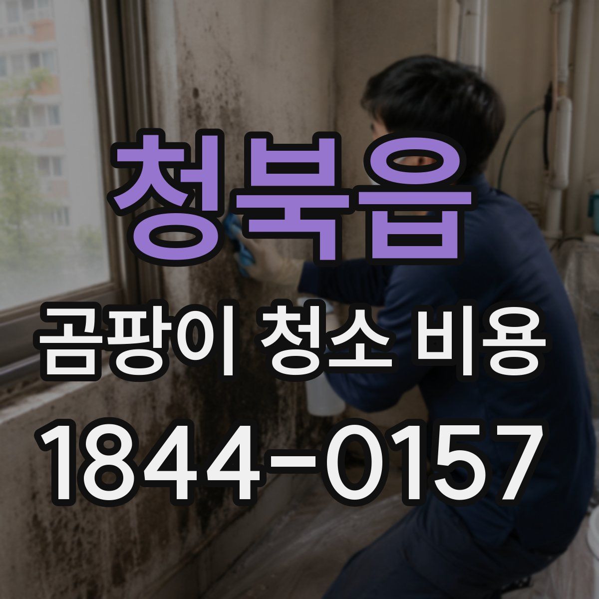 청북읍 곰팡이 청소 비용