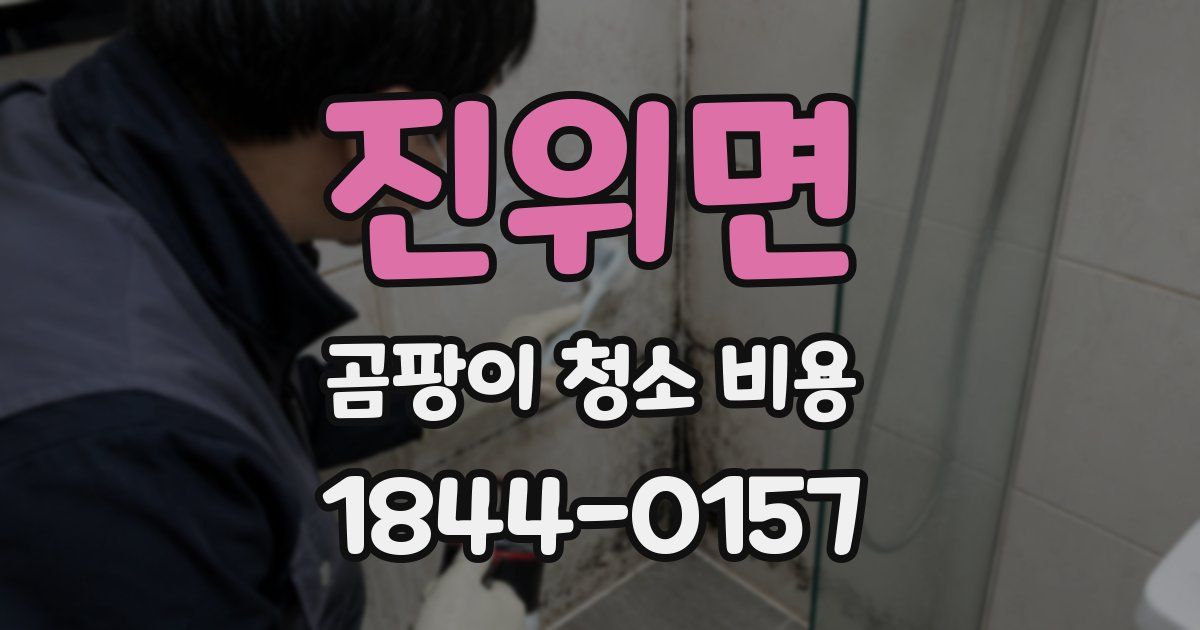 진위면 곰팡이 청소 비용
