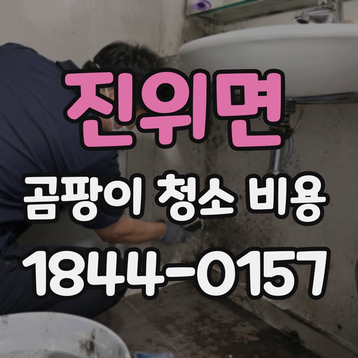 진위면 곰팡이 청소 비용