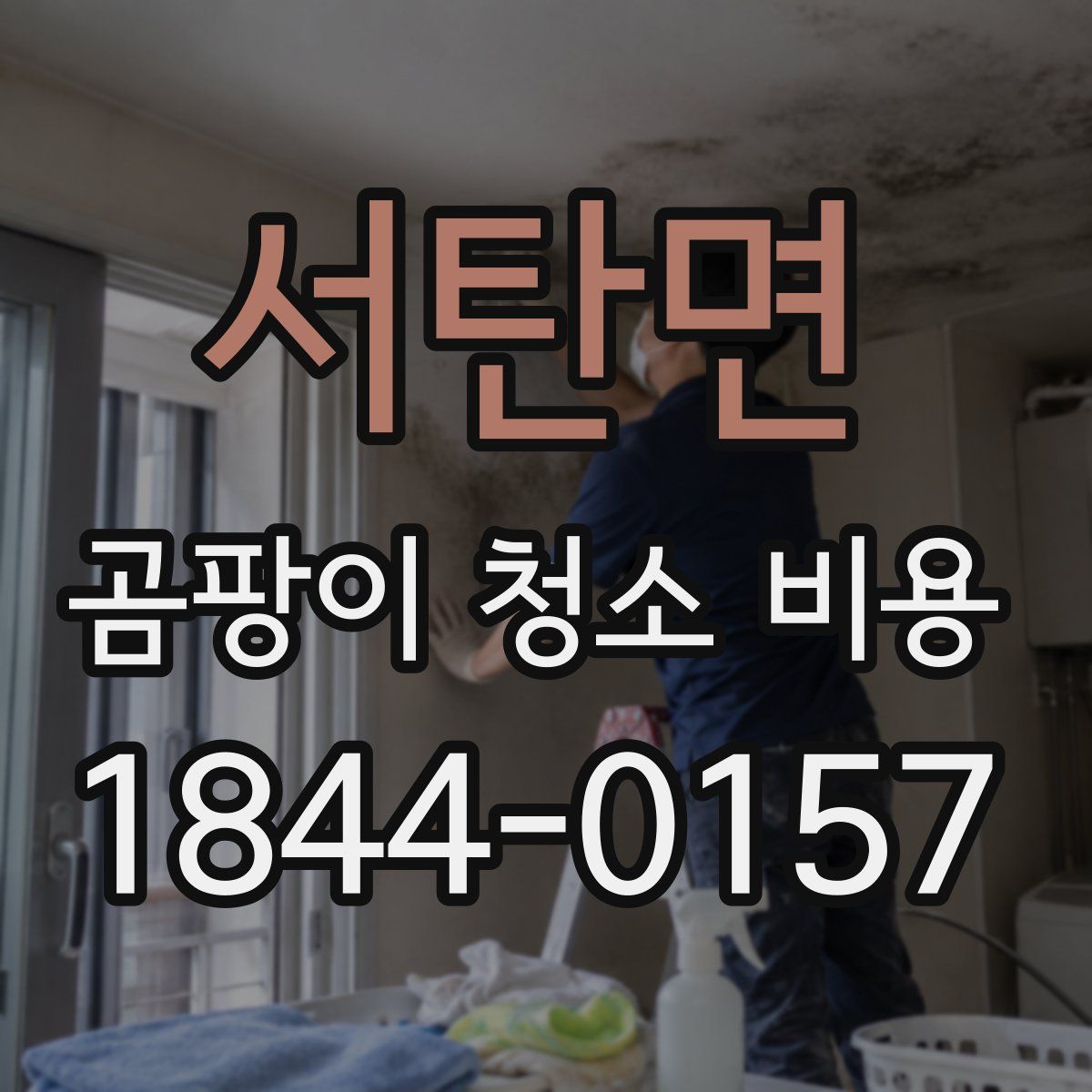 서탄면 곰팡이 청소 비용