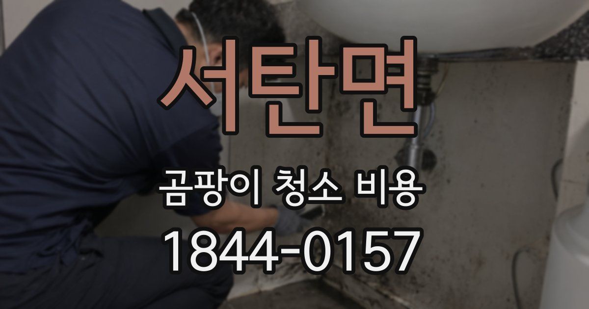 서탄면 곰팡이 청소 비용