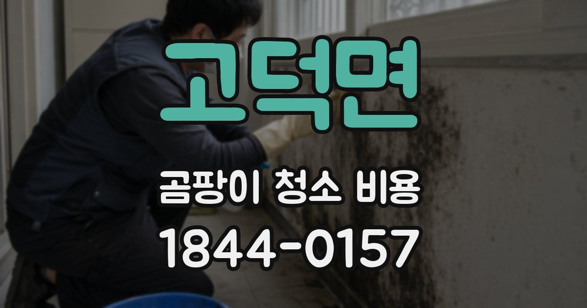 고덕면 곰팡이 청소 비용