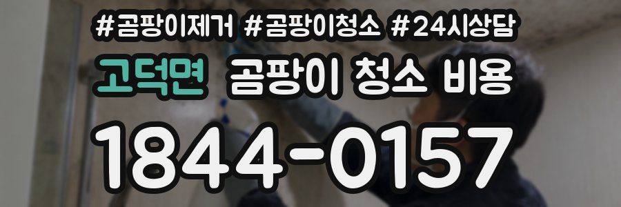 고덕면 곰팡이 청소 비용