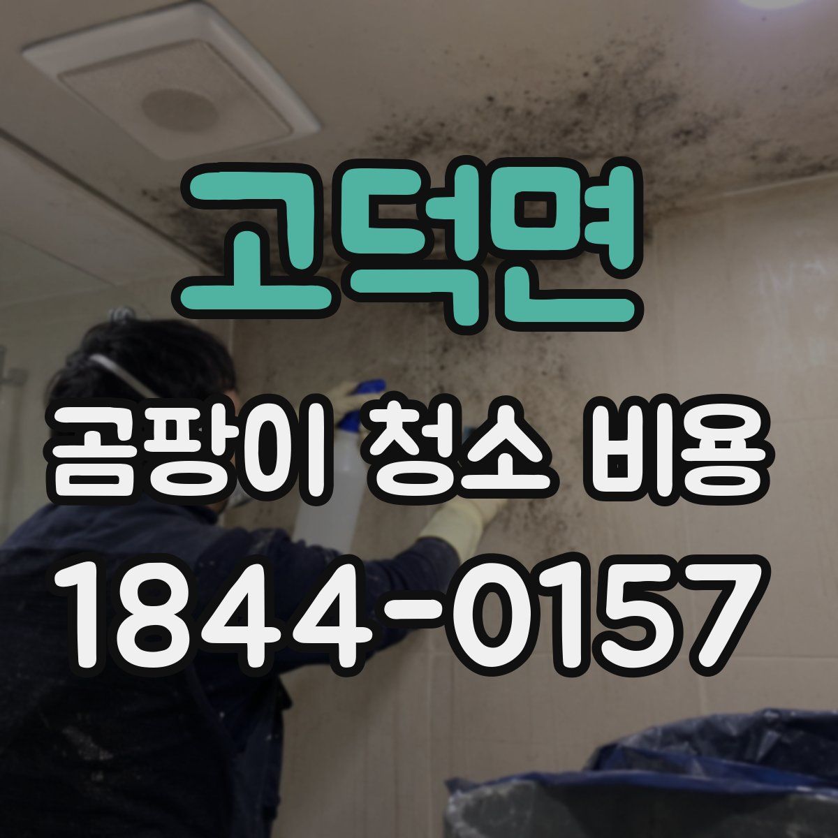 고덕면 곰팡이 청소 비용