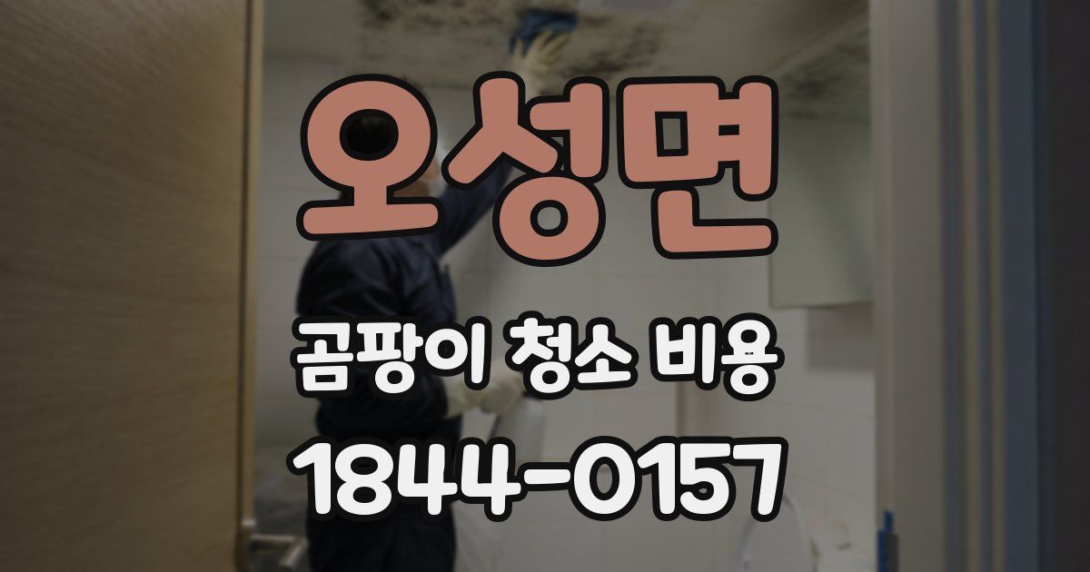 오성면 곰팡이 청소 비용