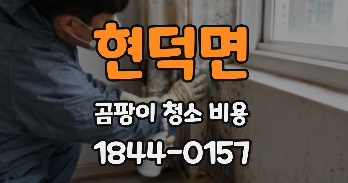 현덕면 곰팡이 청소 비용