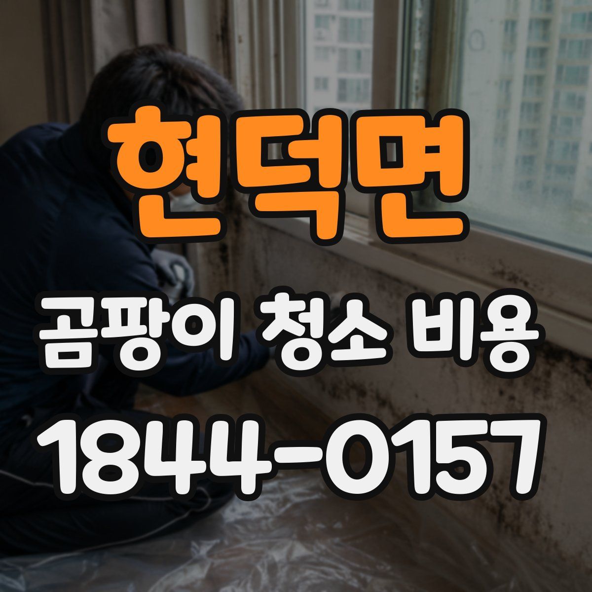 현덕면 곰팡이 청소 비용