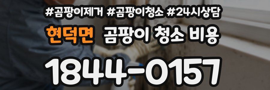 현덕면 곰팡이 청소 비용