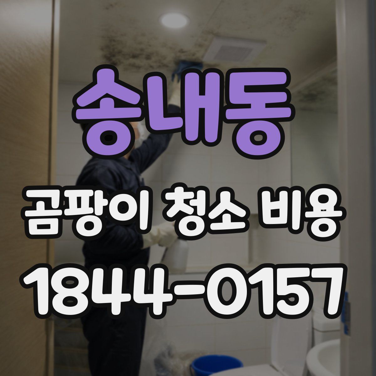 송내동 곰팡이 청소 비용
