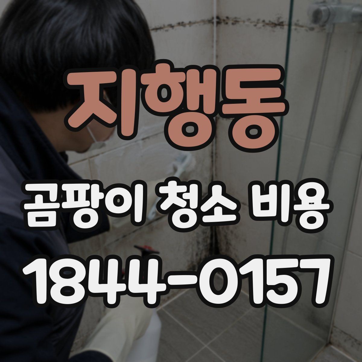지행동 곰팡이 청소 비용 욕실 실리콘 부위와 타일 틈 처리 기준