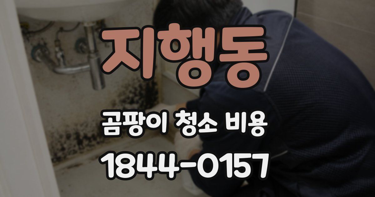 지행동 곰팡이 청소 비용