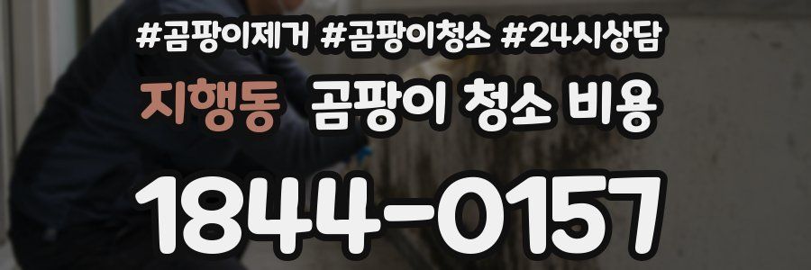 지행동 곰팡이 청소 비용