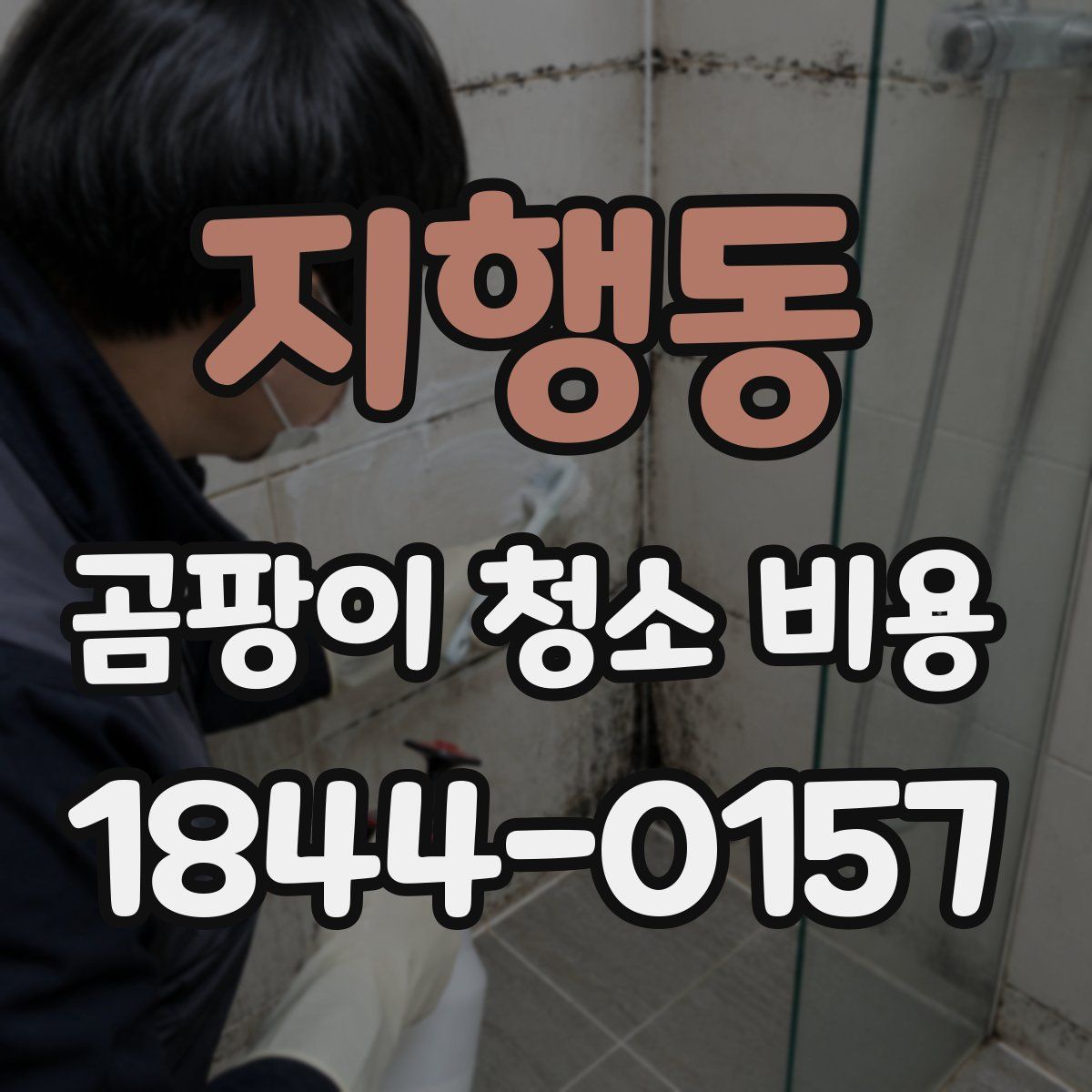 지행동 곰팡이 청소 비용