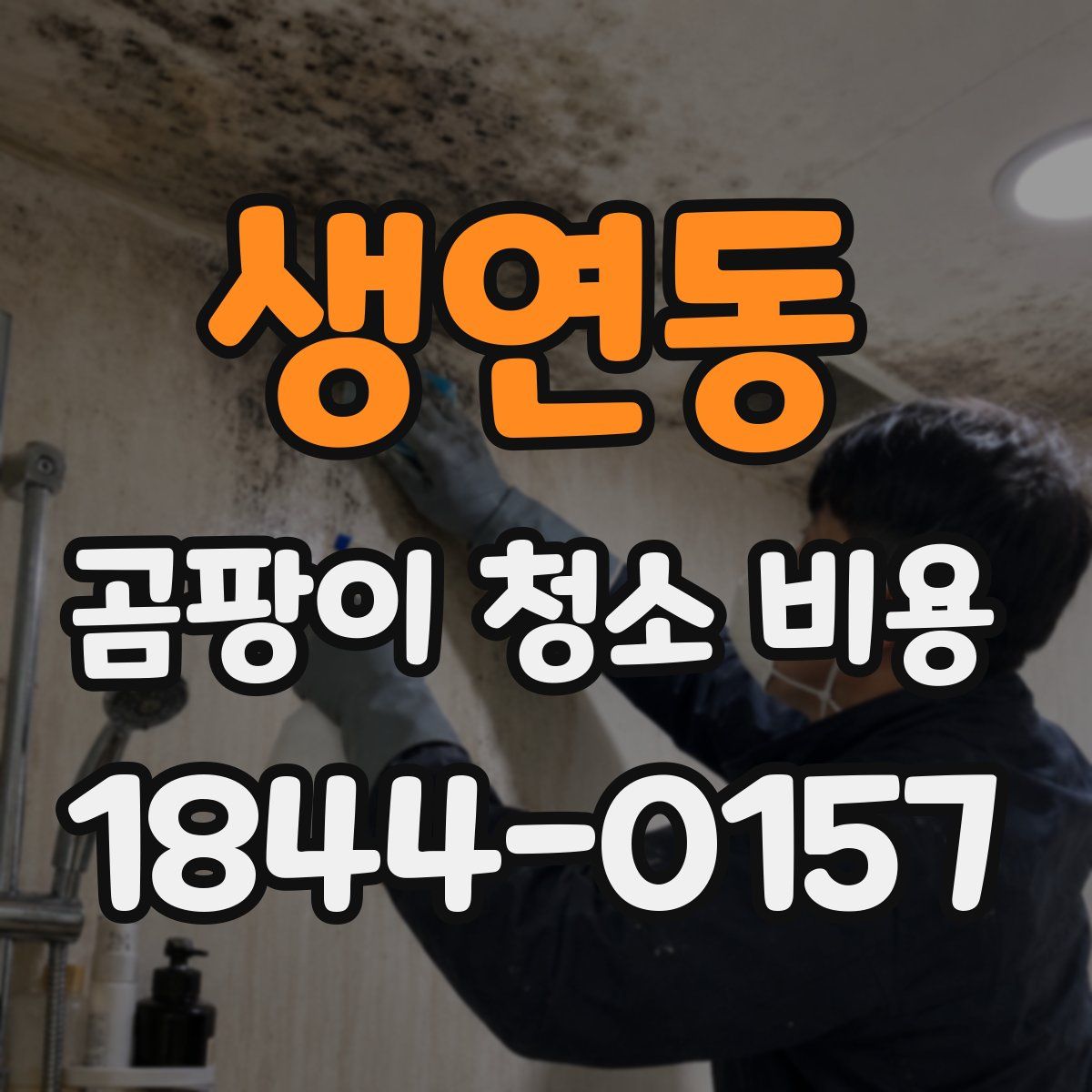 생연동 곰팡이 청소 비용