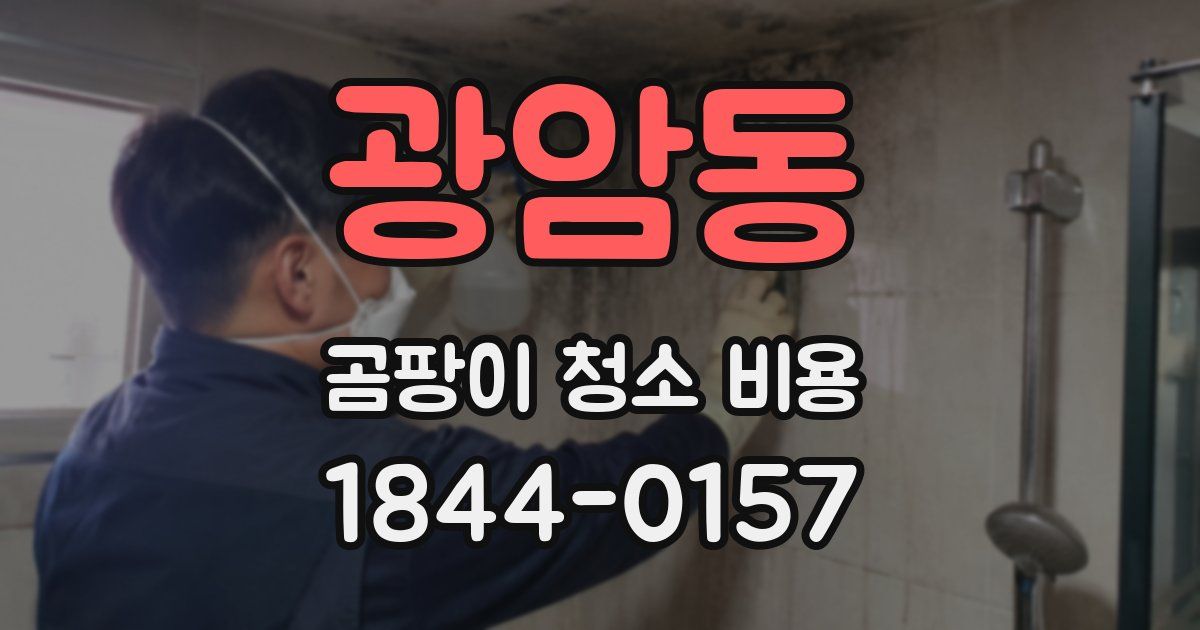 광암동 곰팡이 청소 비용