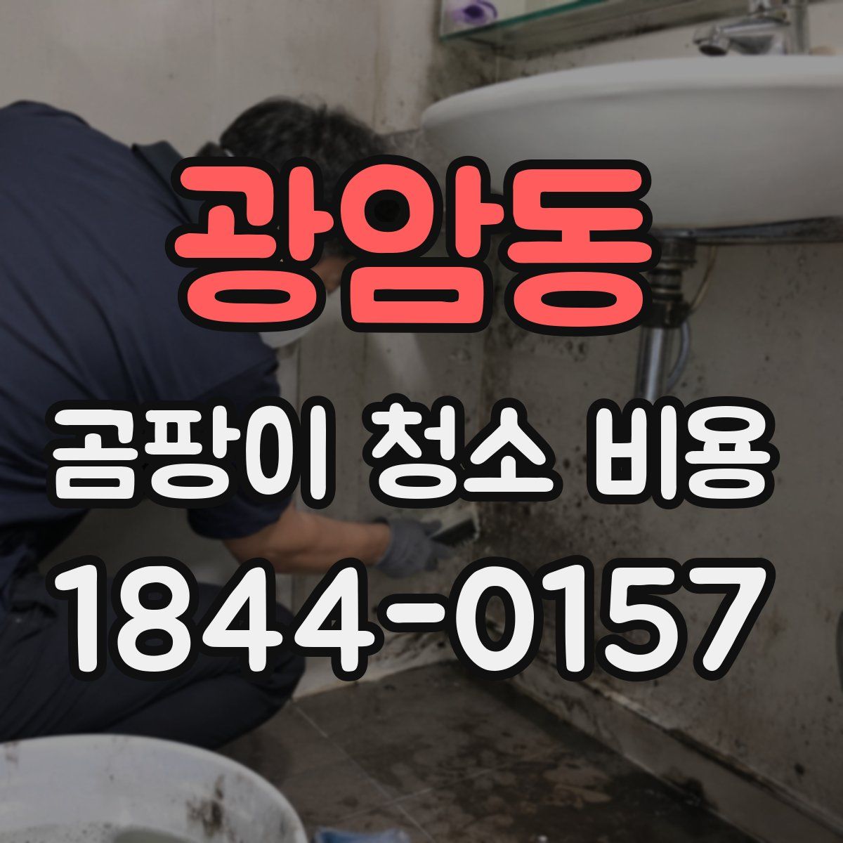 광암동 곰팡이 청소 비용