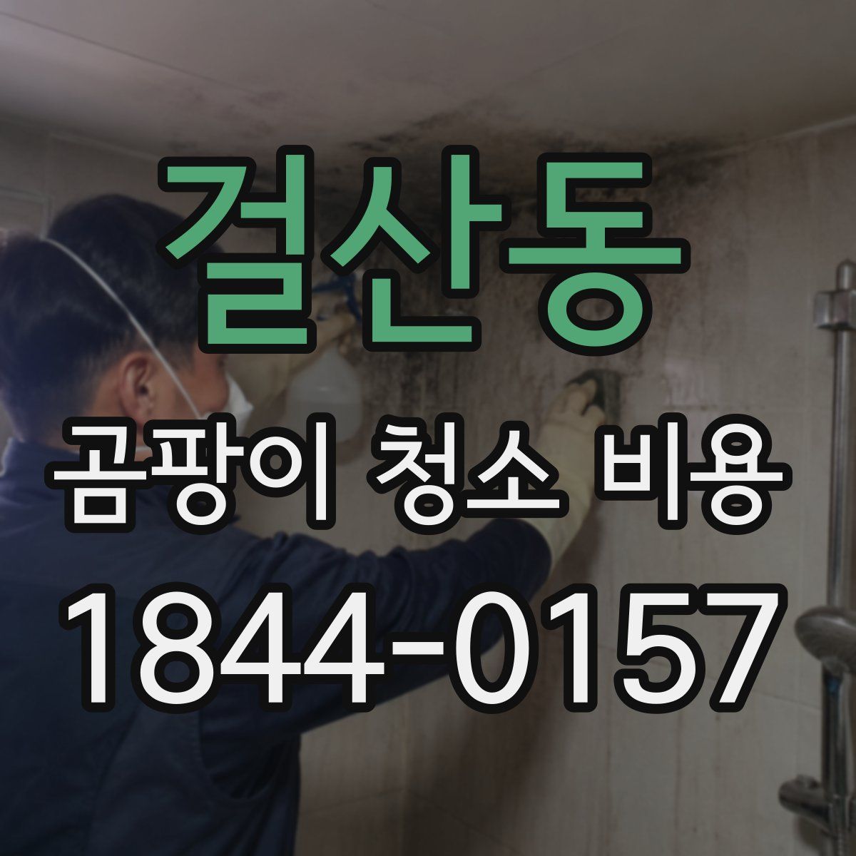걸산동 곰팡이 청소 비용