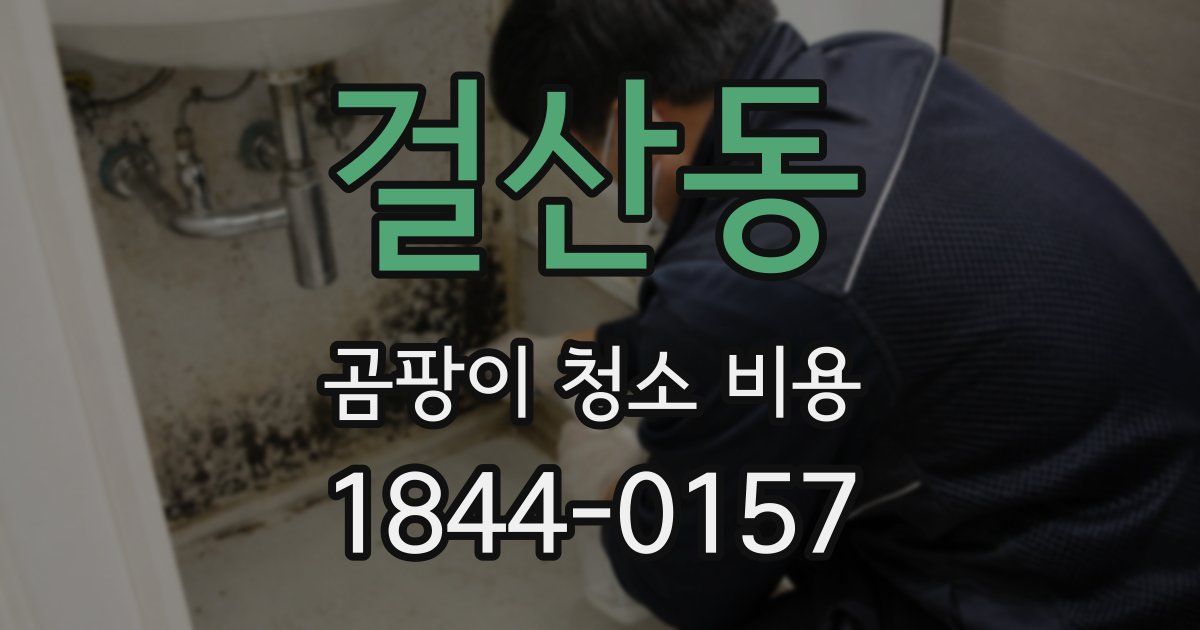 걸산동 곰팡이 청소 비용